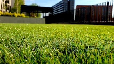 Fencing Specialist DIY vs Pro UK guide
